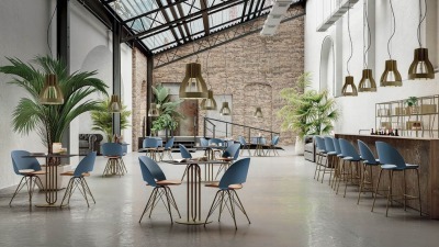 Dining Chairs