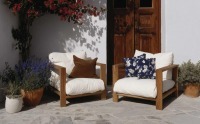 Summer Green: The 5 Best Plants to Decorate Sunny Balconies and Terraces