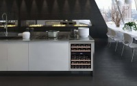 Guide to Choosing the Perfect Wine Cooler: A Deep Dive into Dunavox