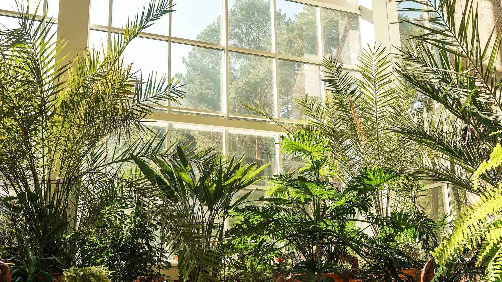 plants_care-IDW-Italia_Prague-Biella