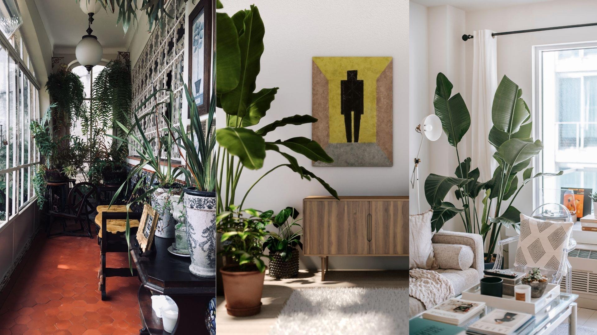 Eco-Sustainable-Interior-Design_IDW-Italia-Biella