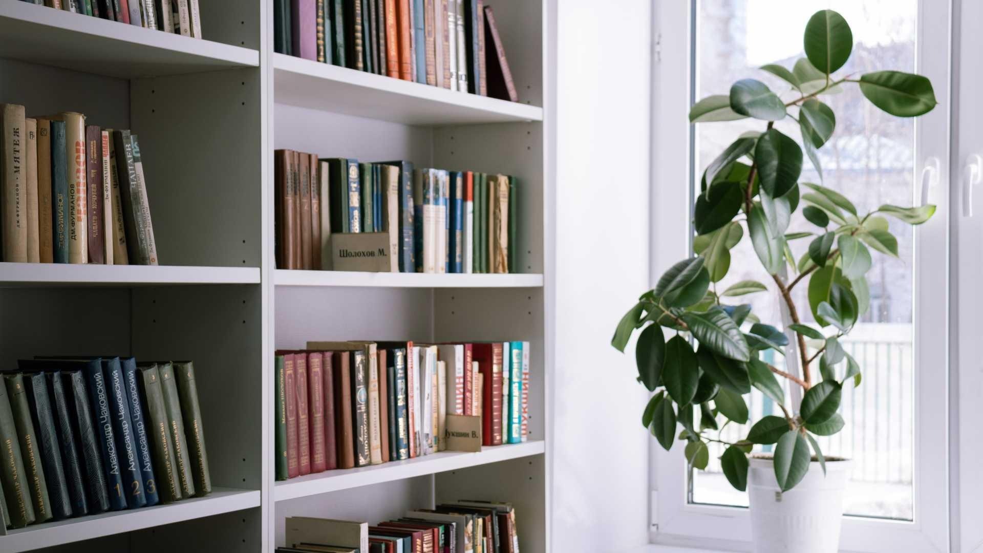 plants_care-IDW-Italia_Prague-Biella