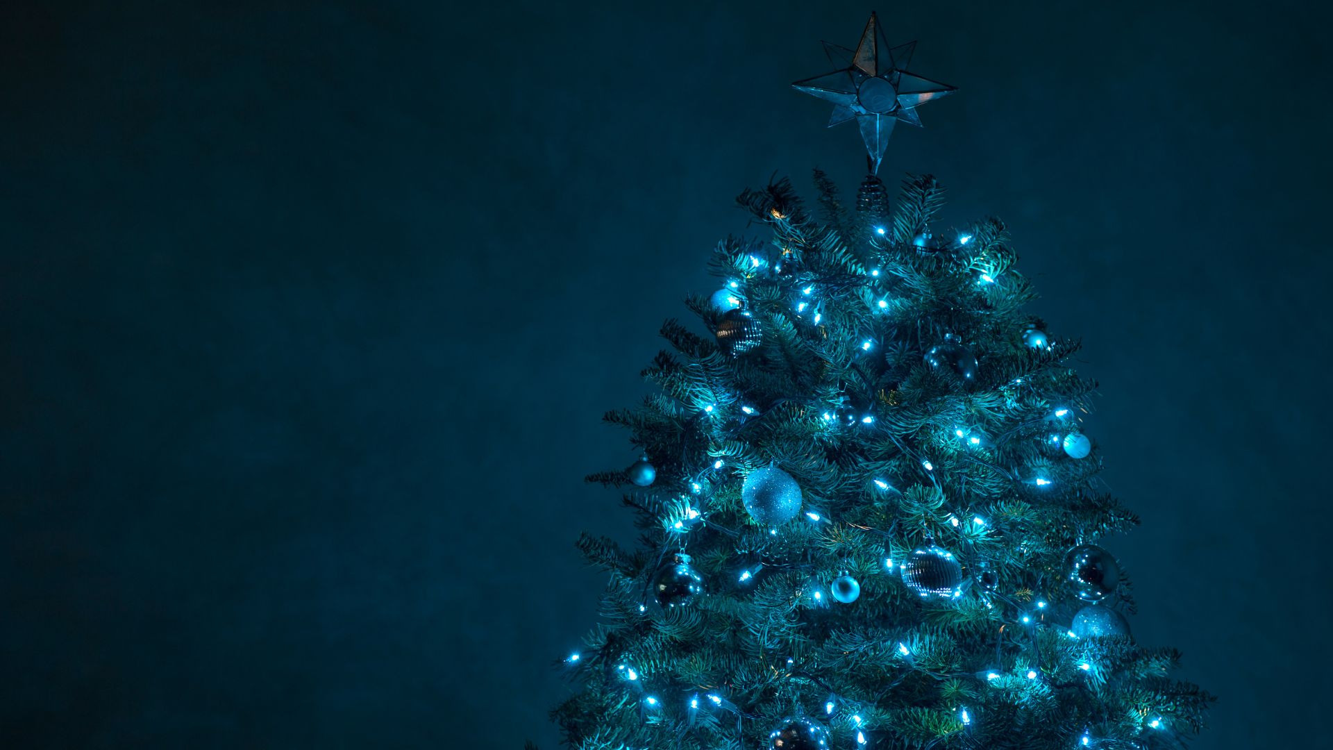 furnish_home_for_christmas_IDW-Italia-Prague-Biella
