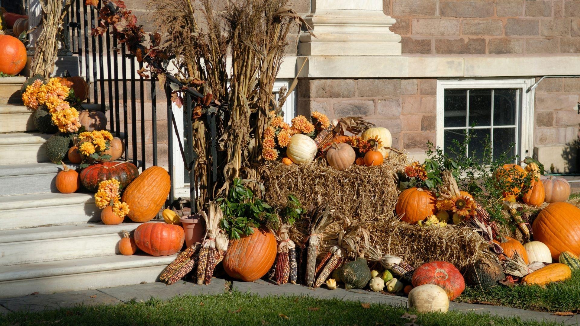 Welcome_September_with_Style_Ideas_for_Charming_Autumn_Decor_IDW-Italia-Prague-Biella