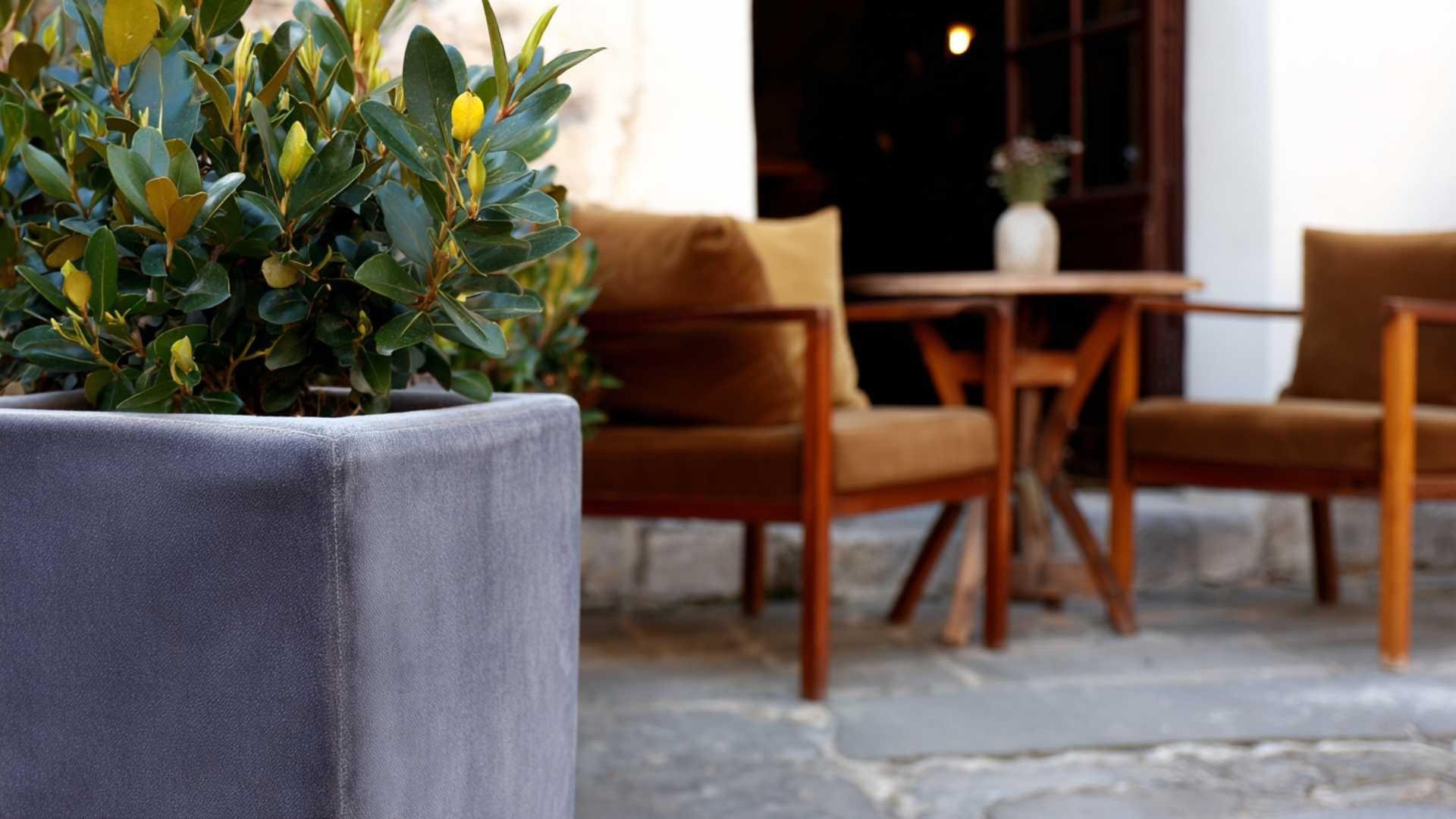 verde-estate_IDW-Italia-Biella